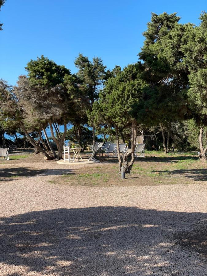 Meridium Formentera By Tentol Hotels Плая Мигхорн Екстериор снимка
