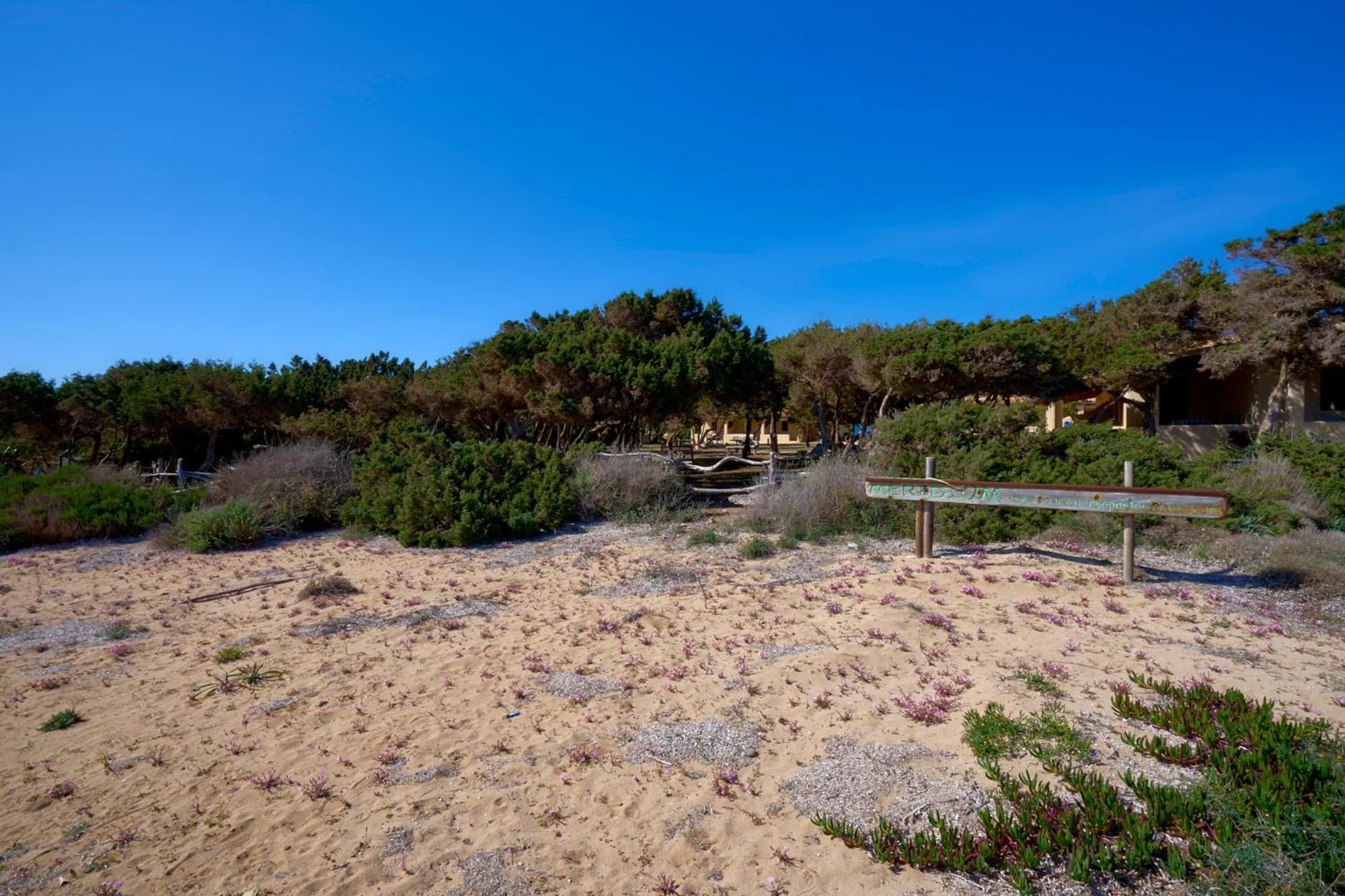 Meridium Formentera By Tentol Hotels Плая Мигхорн Екстериор снимка